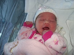 MAUDE