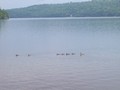chalet lac gagnon - 8